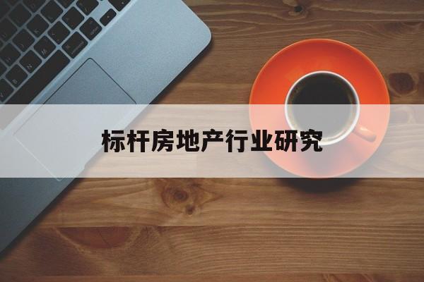 武汉市标杆房地产行业研究(房地产领域的标杆人物)