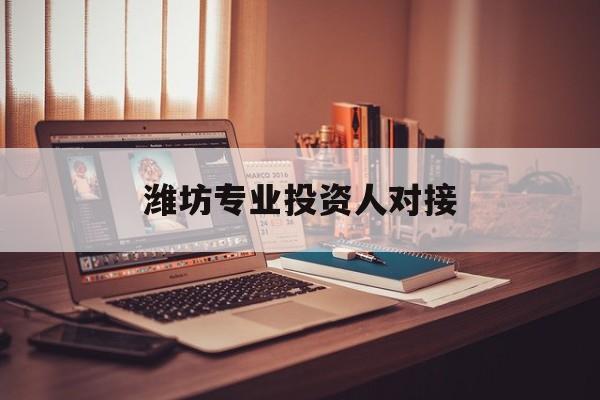 武汉市潍坊专业投资人对接(潍坊专业投资人对接中心)