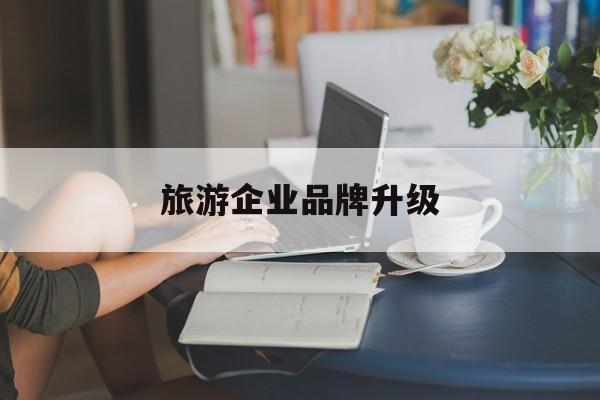 武汉市旅游企业品牌升级(旅游企业品牌升级措施)