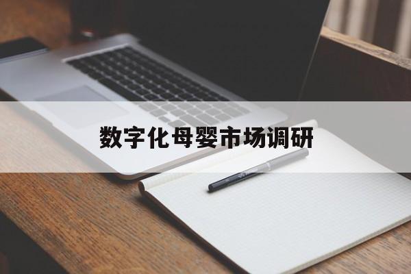 武汉市数字化母婴市场调研(数字化母婴市场调研报告)